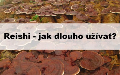 Reishi -- jak dlouho užívat