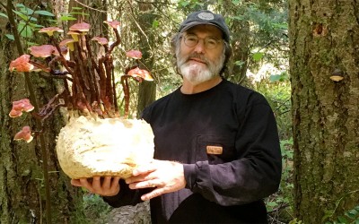 Houby, neuroplasticita a lepší společnost?