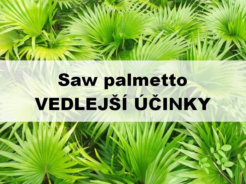 Saw palmetto vedlejší účinky