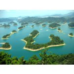 LifeChi - Borovicový pyl (Pine Pollen, Pinus massoniana) lisovaná forma 120 ks po 0,5 g