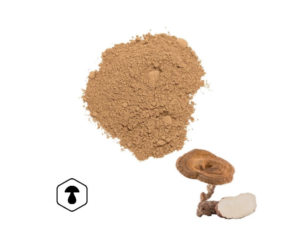 LifeChi – Tygří mléko (Tiger Milk Mushroom, Lignosus rhinocerus) extrakt v prášku 50 g