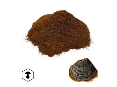 LifeChi – Ohňovec brázditý (Phellinus linteus, Tropicoporus linteus) extrakt v prášku 50 g