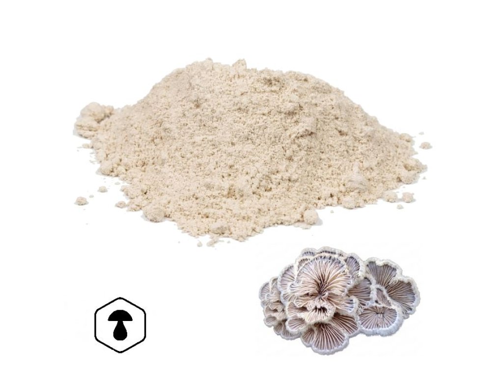 LifeChi – Klanolístka obecná (Split Gill Mushroom, Schizophyllum commune) houbový prášek 50 g