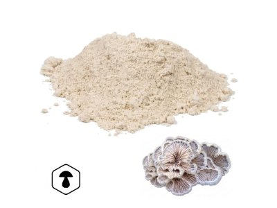 LifeChi – Klanolístka obecná (Split Gill Mushroom, Schizophyllum commune) houbový prášek 50 g